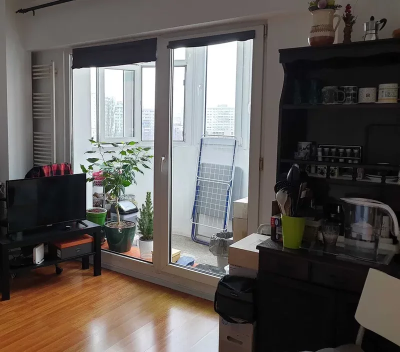 Parcul Kiseleff, Dr. Iacob Felix, Banu Manta, Victoriei, studio.