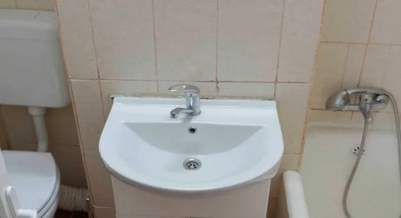 Parcul Kiseleff, Dr. Iacob Felix, Banu Manta, Victoriei, studio.